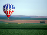 Colorful Hot Air Balloons Float over a Wheat Field in Walla Walla  Washington  USA