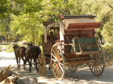 Wagon Tour  Gold Rush Era Park  Columbia State Historic Park  California  USA