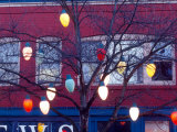 Christmas Tree Lights  Seattle  Washington  USA