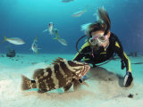 A Woman Observing a Grouper as Other Fish Swim Nearby