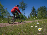A Man Rides Along a Bike Trail on a Summer Day  Charlottetown  Prince Edward Island  Canada