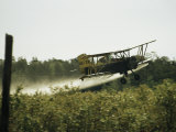 A Crop Dusting Airplane Flys Low Over a Field to Drop Pesticide