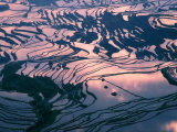 Water-logged Rice Terraces at Sunset  Yunnan Province  China