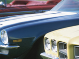 Front of Cars in Parking Lot