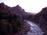 After Sunset the Light Glows Almost Purple Lighting up the Cliffs  Zion National Park  Utah