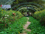 Claude Monet's House and Garden  Giverny  France
