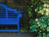 A Brightly Colored Blue Bench at the Chicago Botanic Garden