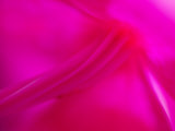 Close View of an Orchid Stem