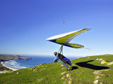 Hang Glider  Otago Peninsula  South Island  New Zealand