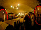 Wine Barrels in the Cellar of Chateau de Cercy  Burgundy  France