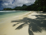 Palm Tree Shadows on a Beach with Gentle Surf and Mountain Backdrop