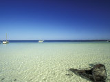 Broken Fishing Net and Clear Waters  Tunisia