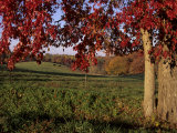 Autumn Color Frames the Rolling Hills of the Virginia Foxhunt Country