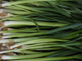 A Pile of Fresh Green Onions