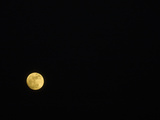 The Yellow Moon in a Black Sky
