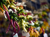 Chili Peppers in Pike Place Market  Seattle  WA