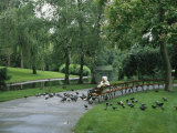 Woman Feeds Pigeons in the City Park in Vienna