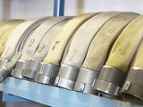 Row of Vintage Fire Hoses