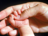 Man's Hand Holding Baby's Hand