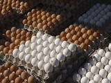 Stacks of Fresh White and Brown Eggs in Sectioned Cardboard Cartons