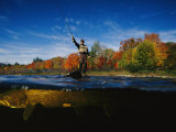 Sport Fisherman and his Atlantic Salmon Prey