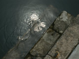 Close View of Stone Steps Leading into the Grand Canal