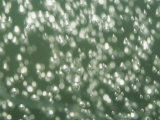 Close View of Bubbles