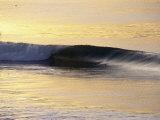Sunrise Shines on a Breaking Wave