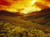 Fiery Sunset over the Ogilvie Mountains