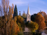 Church Steeple in Autumn Leaves  Sonora  USA