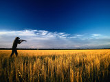 Mallee Farmer  Quail Shooting in Wheat Stubble - Mallee  Victoria  Australia
