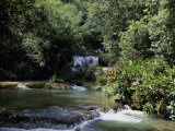 YS Falls St Elizabeth Jamaica