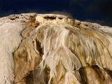 Canary Springs at Mammoth Hot Springs  Yellowstone National Park  Wyoming  USA