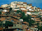 Shanty Houses on the Outskirts of Town  Caracas  Venezuela