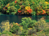 Autumn Foliage on Trees Around Lake  Jiuzhai Gou  China