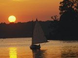 Gaff-Rigged Catboat Sails Along the Shoreline at Sunset