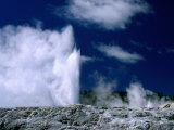 Prince of Wales Feather Geyser at Whakarewarewa Thermal Reserve  Rotorua  New Zealand