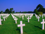 Rows of White Crosses at American Military Cemetery  Colleville-Sur-Mer  France