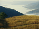 Mountain Biking Through Fields Above Fog-Shrouded Elk River Valley
