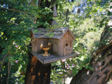 Church Bird House Hanging in a Tree  Sutter Creek  California
