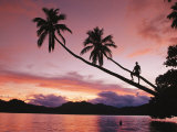Man  Palm Trees  and Bather Silhouetted at Sunrise