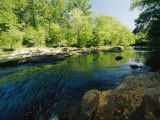 Waterfalls on the Eno River Passing Through a Hardwood Forest