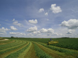 An Soybean Field is Harvested in Minnesota