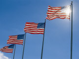 A Stiff Breeze Blows a Row of American Flags on the Battlefield