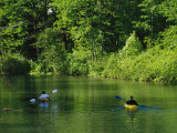 Kayakers Paddle in the Headwaters of the Susquehanna River