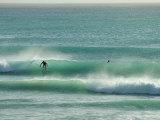 Surfer Rides a Wave in Barbados