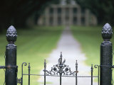 Oak Alley Plantation  Vacherie  Louisiana  USA