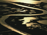Aerial View of Blackwater National Wildlife Refuge