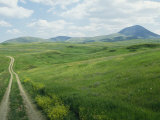 Tracks Through Rolling Meadowland of the Sweet Grass Hills