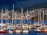 Yachts Moored at Bellerive Marina  Tasmania  Australia